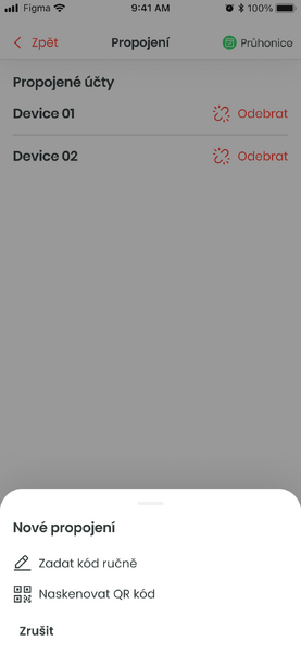 Soubor:Propojeni auth code.png